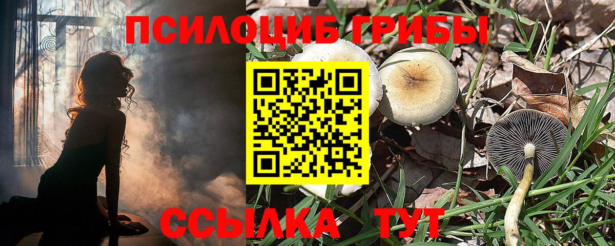 Псилоцибиновые грибы Magic Shrooms  Псилоцибиновые грибы прущие грибы  Елизово  Вход с VPN 
