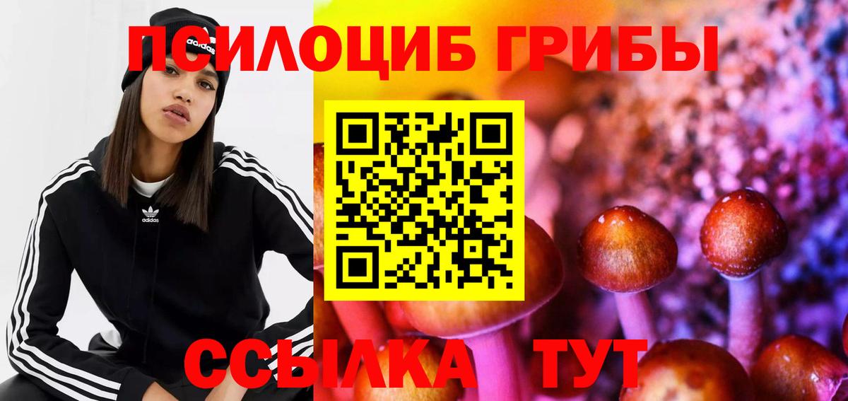 Галлюциногенные грибы мицелий Елизово